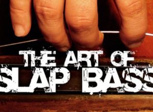 art of slap on double, acoustic, upright, doghouse, bullfiddle bass